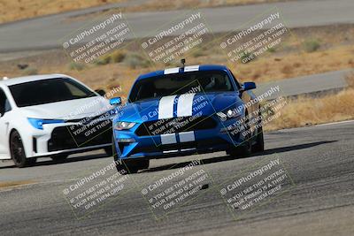 media/Feb-22-2025-Team Topak Racing (Sat) [[cb57a51a40]]/Beginner/Turns 13 and 14/